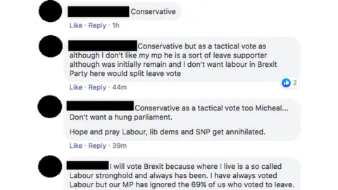 Facebook Facebook comments discussing pro-Brexit tactical voting