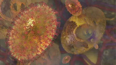 Science Photo Library An illustration of H3N2 virus or influenza A