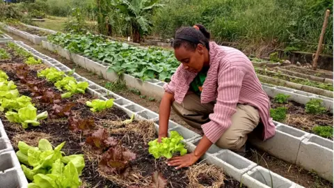 BBC woman planting vegetables in a garden