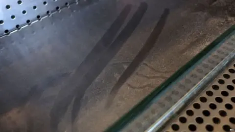 BBC Image shows dust on glass with clear finger marks