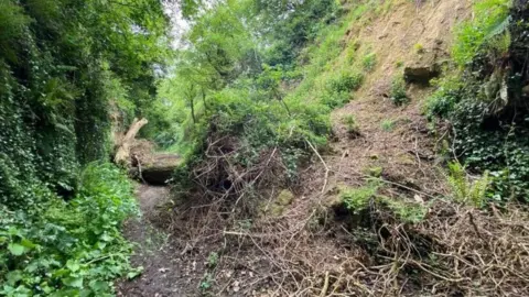 Somerset County Council Debris cover road after landslip