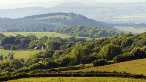 A picture of a lush green landscape with fields, trees and houses in the distance.