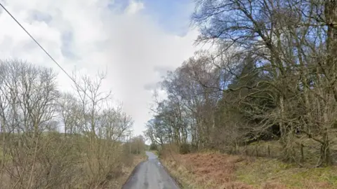 A narrow rural road lined by trees
