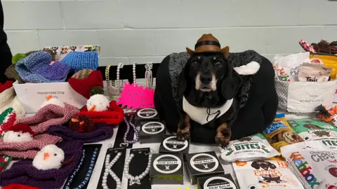 A dachshund wearing a cowboy hat sat in a dog bed. It is surrounded by items for sale to raise money for charity, including dog treats but also pet jewellery and clothes.  