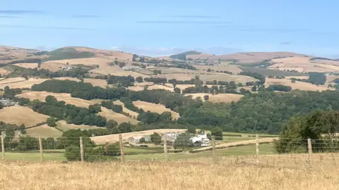 The view from Nantglyn, Denbigshiren of an agricultural landscape covered with parched fields. There is a fence in the foreground, with dry hills in the background. 