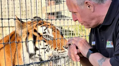 Lincolnshire Wildlife Park Steve with a tattoo on his arm poking his fingers through a tiger cage with a tiger dangerously close on the other side of the fence. Steve has short grey hair and is wearing a black t-shirt.