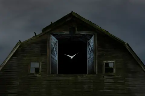 Jess Findlay / Wildlife Photographer of the Year a barn owl flies out of an old barn