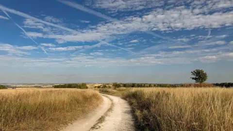 Riki61 A dusty path between two dry fields stretching into the distance where green trees can be seen. The sky is blue and there are patches of white clouds and streaks from jet engines.