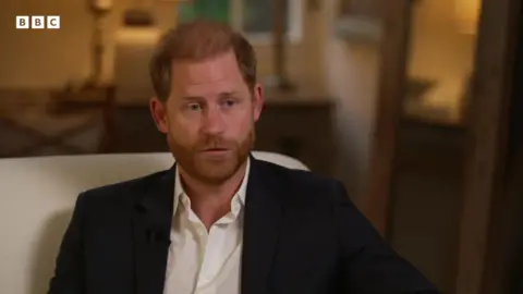 Duke of Sussex sat in a suit