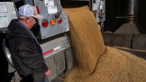 Getty Images A soybean farmer in a beige cap unloads heaps of soybeans from a truck at a local grain dealer in Maryland