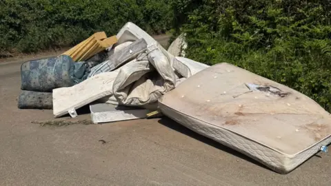 A pile of mattresses, including blue, brown and white ones. They are on a road near bushes. 