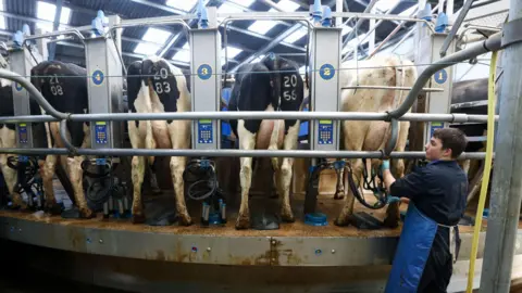 Bloomberg via Getty Images A rotary parlour with lots of cows seen from behind being milked