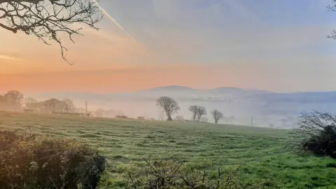 BBC Weather Watcher/Mr T A wide shot of the countryside early in the morning. There is a large green field in the front of the image, with some trees in the background and further far off fields. There is a haze rolling over the fields, with the sun rising on the left hand side of the picture.