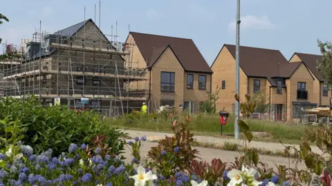Blue and white flowers, and leafy shrubs are in the foreground, and behind them scaffolding surrounds a home under construction and to the right are three completed homes. 
