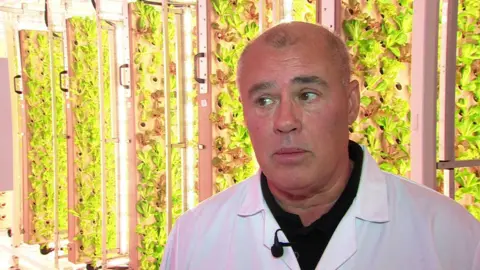 Dean Barron who's the operations director at the indoor farming company Innovation Agri Tech standing in front of a brightly lit bay of lettuce leaves being grown on vertical indoor panels measuring 16ft by 16ft.
