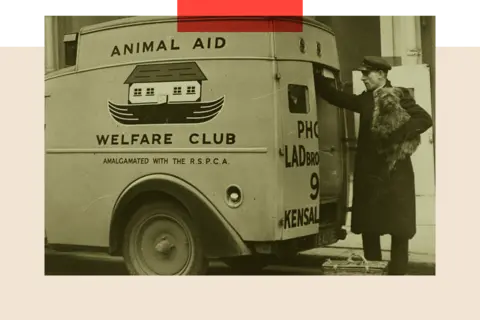 Hulton Archive via Getty Images An ambulance run by the Dog Licence Club at the London's Animal Aid and Welfare Club