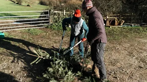 Two people using pruning shears cutting a tree up into smaller pieces. 