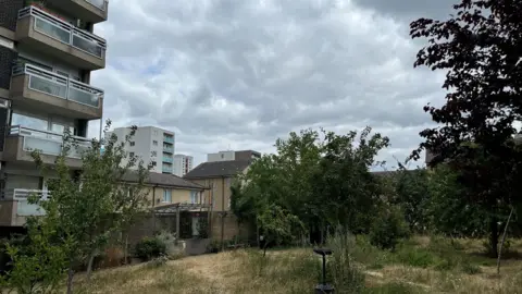 A number of fruit trees are in front of a block of flats