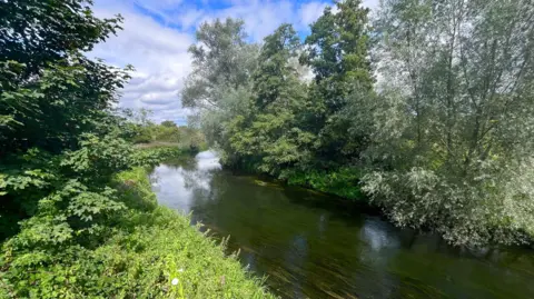 Martin Giles/BBC The River Wensum near Costessey