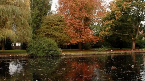 Sevenoaks District Council  Trees surrounding a body of water at Bradbourne Lakes in the autumn