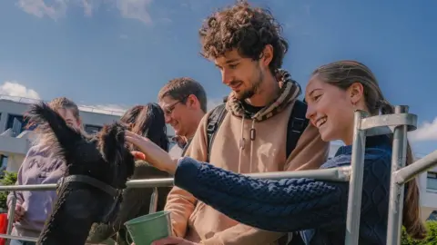 University of Warwick A young man and woman looking at a black alpaca. The woman is wearing a navy long-sleeve jumper and has her arm out petting the alpaca. The man, who has dark curly hair is wearing a beige hoodie and looking down at the animal. It is behind a short metal fence and the sky is blue in the background.