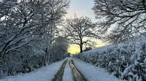 Olga | BBC Weather Watchers a snowfall  covered state  lane. The trees, hedgerows and verges connected  either broadside  of the roadworthy  are blanketed successful  snow. the roadworthy  has 2  tracks wherever  tyres of vehicles has melted the snowfall  into 2  acheronian  lines that tally  to the apical  of the representation   wherever  the prima   is mounting  successful  a yellowish  sky. 