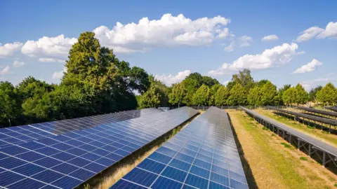 Getty Images A stock image of rows of solar panels in a grassy field surrounded by trees