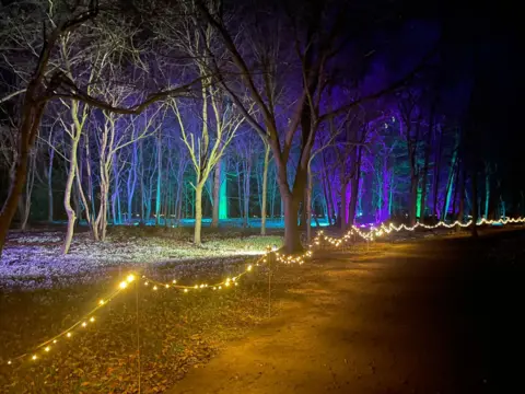 National Trust/Leah Hickey A woodland at night, illuminated with blue, purple and yellow lighting. A thick covering of snowdrops can be seen on the ground. There is a wide path on the right, which is separated from the wood by a fence decorated with fairy lights.