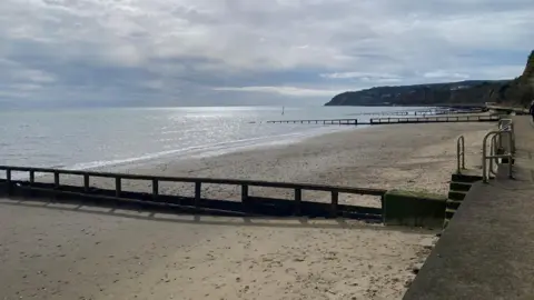 Sparrow An empty sandy beach sits beneath blue skies and next to the blue sea.