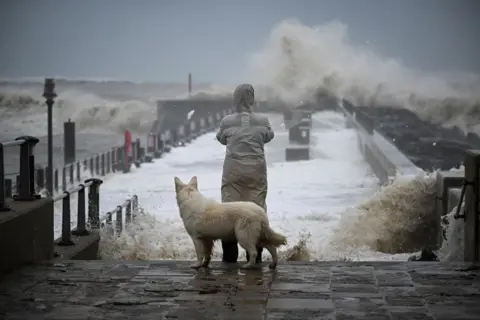 Getty Images Una persona y su perro observan las olas en West Bay, Dorset, noviembre de 2023.