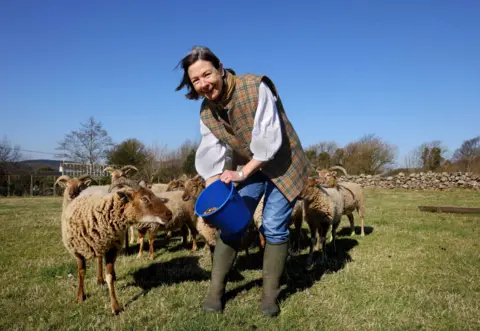 Colin Hattersley A woman in a tartan top wearing jeans and wellies with a blue bucket is feeding a number of brown sheep