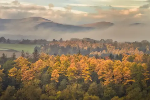 A shot taken from Culgaith looking onto the autumnal larch trees, hit by the morning sunlight. The lake district fells are visible in the background but they are partly covered by clouds.