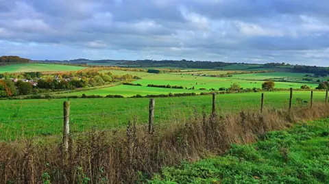 Patrick Cashman View of a fence between two fields and a wide view of green rolling hills with some hedges under a sunny sky with some cloud.