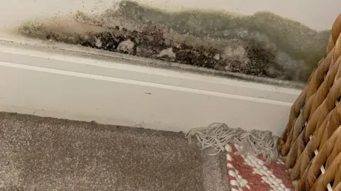 Mould in a flat in Addlestone