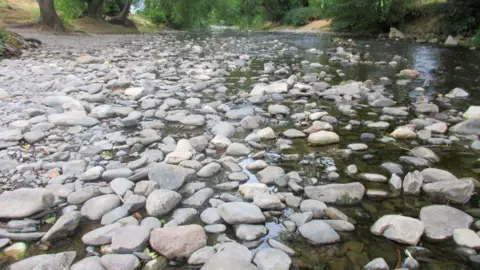 Tudur Davies The river Elwy. The bank is made up of pebbles, with the river behind it. Trees line both banks. 