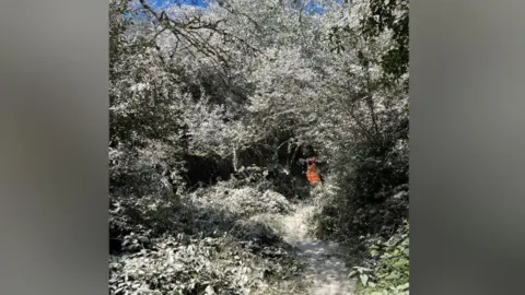 Environment Agency A path surrounded by shrubs, trees and grass all covered in a milky white coloured substance. There is a person in an orange high vis jacket in the background along the path. 