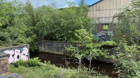 An old industrial unit with corrugated iron walls and graffiti overlooks a river with trees and greenery
