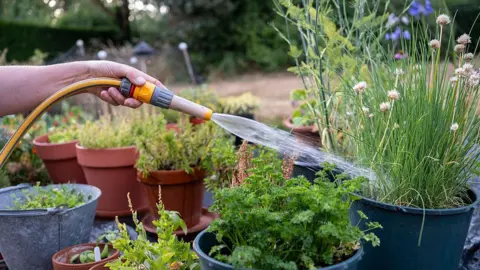 A generic image of a hosepipe. Water is seen watering 