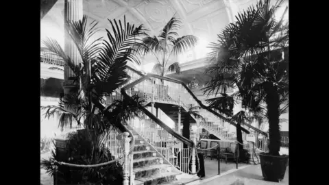 Torquay Museum A black and white photo shows a white staircase with large palm trees in pots all around it