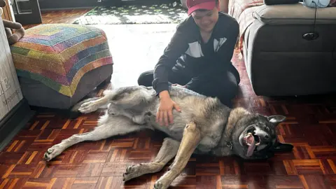 Katie Wright A dog lies on the floor with his tongue out whilst a teenager rubs his belly