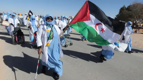 EPA An aged  pistillate   successful  bluish  and achromatic  headscarf carries a Western Saharan emblem  up  of different   protestors