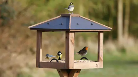 Nigel Blake / RSPB Four different birds including a robin red breast and tit with yellow chest eating seeds from a flat wooden bird table with a grey roof