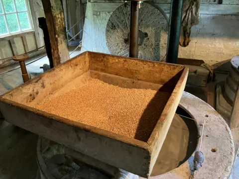 JOANNA TAYLOR/BBC A square pallet of grain stands on top of a circular stone counter. There is a toy mouse next to it. In the distance, a round millstone is standing against a white brick wall. 