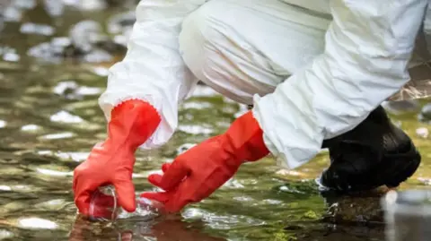 Getty Water testing in a river