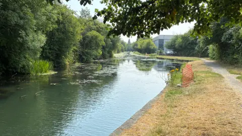 The Erewash Canal with trees either side of the water.