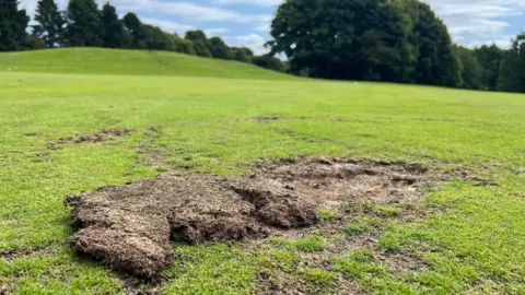 BBC Caird Park vandalism