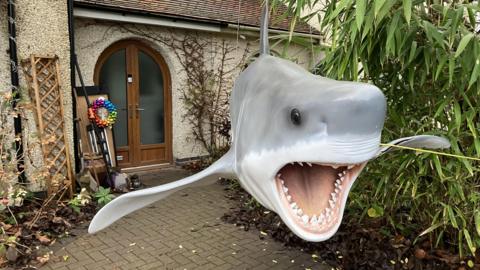 Shark sculpture in front of home