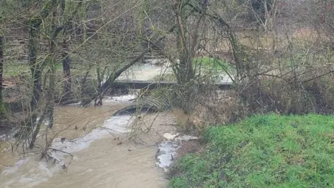 Aidan Matthews Sodden Strawberry Hill