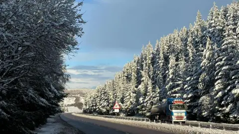 Tall, snowy evergreen trees line the A9 on a bright day with blue skies and some grey clouds. A lorry is the only vehicle on the road and a sign warns of deer on the road.