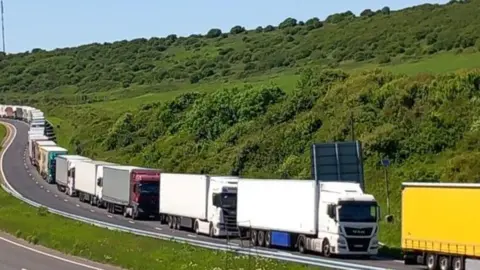 Simon Jones/BBC News Queuing HGVs